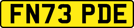 FN73PDE