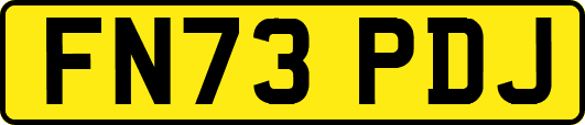 FN73PDJ
