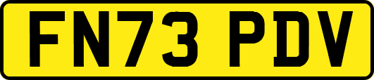 FN73PDV