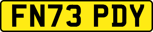 FN73PDY