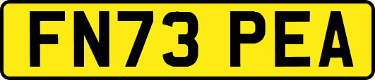 FN73PEA