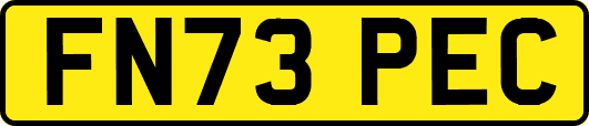FN73PEC