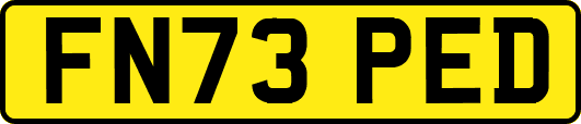 FN73PED