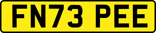 FN73PEE