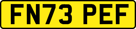 FN73PEF