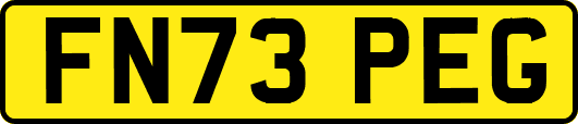 FN73PEG