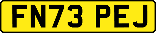 FN73PEJ