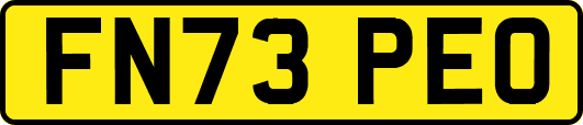FN73PEO