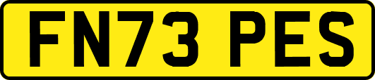 FN73PES