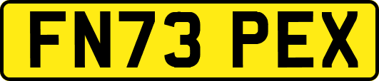 FN73PEX