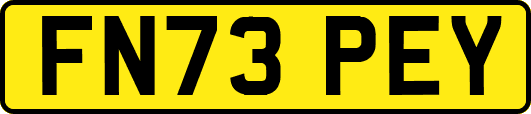 FN73PEY