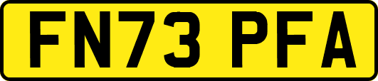 FN73PFA