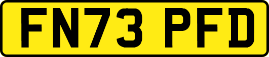 FN73PFD