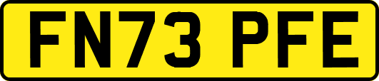 FN73PFE