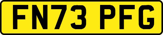 FN73PFG