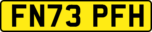 FN73PFH