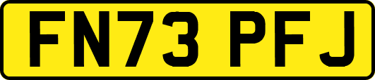 FN73PFJ