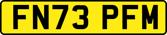 FN73PFM