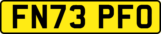 FN73PFO