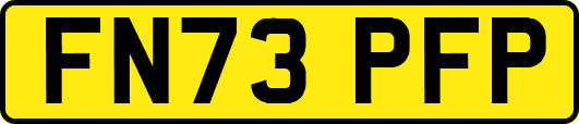 FN73PFP