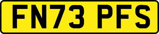 FN73PFS