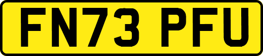 FN73PFU