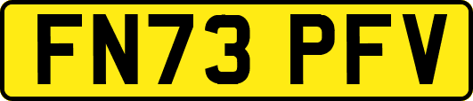 FN73PFV