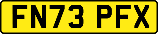 FN73PFX