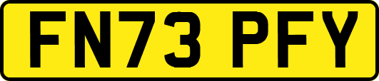 FN73PFY