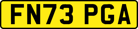 FN73PGA