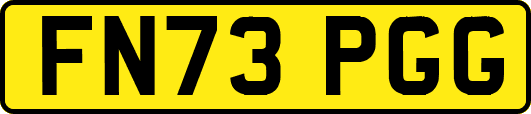 FN73PGG