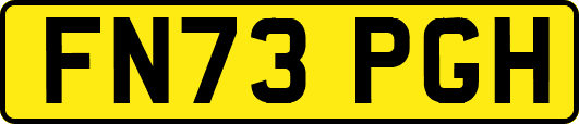 FN73PGH