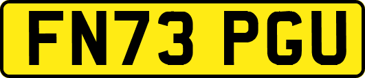FN73PGU