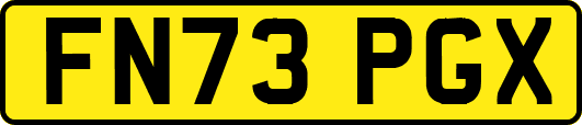 FN73PGX