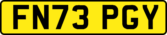 FN73PGY