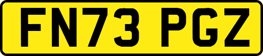 FN73PGZ
