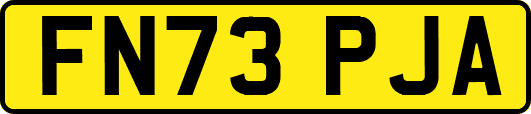 FN73PJA