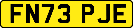 FN73PJE