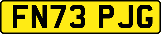 FN73PJG