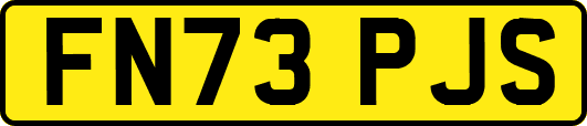 FN73PJS
