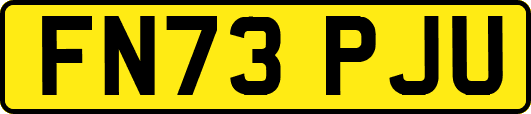 FN73PJU