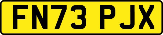 FN73PJX