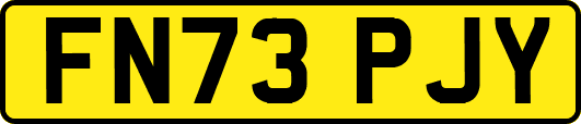 FN73PJY