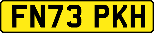 FN73PKH