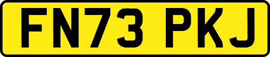 FN73PKJ