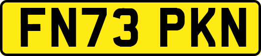 FN73PKN