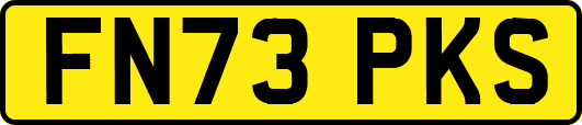 FN73PKS