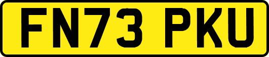 FN73PKU