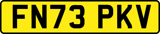 FN73PKV