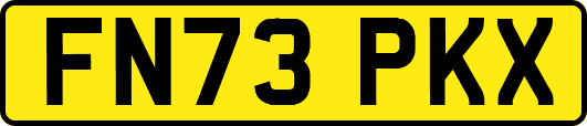 FN73PKX
